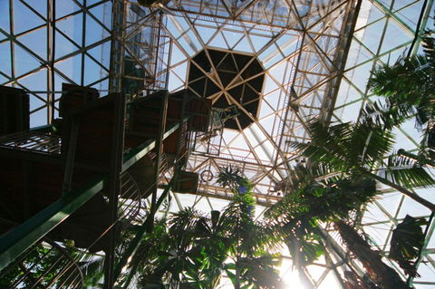Cairns ZOOm And Wildlife Dome - Melbourne Tourism 1