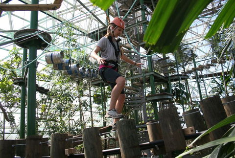 Cairns ZOOm And Wildlife Dome - Melbourne Tourism 2