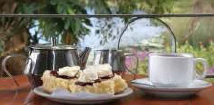 Food Trails Tours - Melbourne Tourism 2