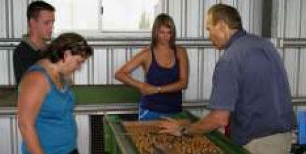 Food Trails Tours - Melbourne Tourism 3