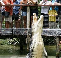 Hartley's Crocodile Adventures - Melbourne Tourism