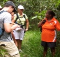 Ingan Tours - Spirit of the Rainforest Tour - Melbourne Tourism