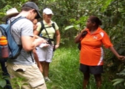 Ingan Tours - Spirit Of The Rainforest Tour - Melbourne Tourism 0