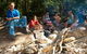 Ingan Tours - Spirit Of The Rainforest Tour - thumb 4