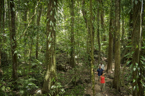 Mossman Gorge Centre - Melbourne Tourism 1