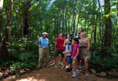 Ngadiku Dreamtime Walks - Mossman Gorge Centre - Melbourne Tourism 1