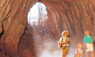 Undara Experience - Melbourne Tourism 3