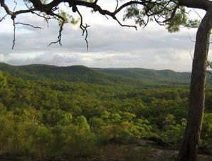 Cooktown Aboriginal Art Tours - Melbourne Tourism 1
