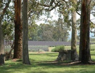 Amosfield QLD Melbourne Tourism