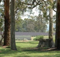 Aloomba Lavender - Melbourne Tourism
