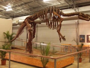 Australia's Dinosaur Trail - Melbourne Tourism 0