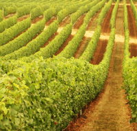 Wignalls Winery