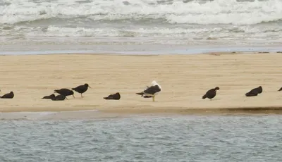Inverloch