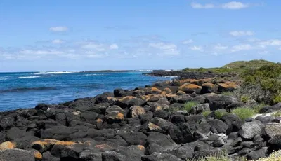 Port Fairy