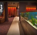 AB Hotel - Melbourne Tourism