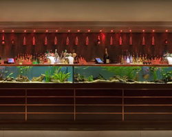 AB Hotel - Melbourne Tourism 2