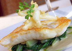 Captain Cook Tavern - Melbourne Tourism 2