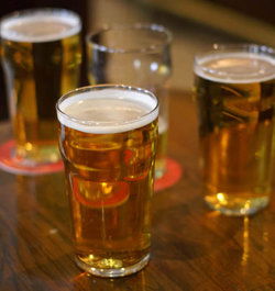 Hotel Unilodge - Sydney - Melbourne Tourism 2