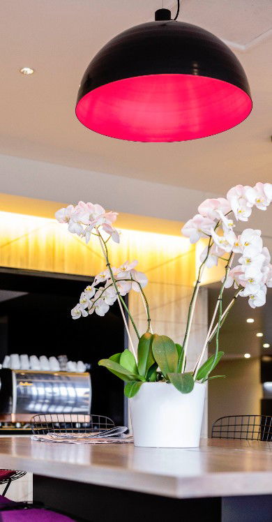 MRepublic Restaurant, Bar And Lounge - Melbourne Tourism 4