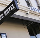 Skinny Dog Hotel - Melbourne Tourism
