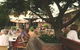 Georgies Cafe Restaurant - thumb 2