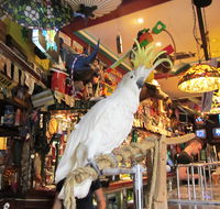 A Friend In Hand - Melbourne Tourism