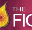 Pickled Fig - Melbourne Tourism