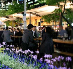 Quay Bar - Melbourne Tourism 0