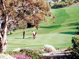 Victor Harbor Golf Club - Melbourne Tourism 1