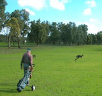 Coffin Bay Golf Club - Melbourne Tourism