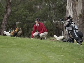 Cambridge TAS Melbourne Tourism