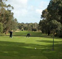 Mount Gambier Golf Club - Melbourne Tourism