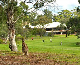 Merimbula NSW Melbourne Tourism
