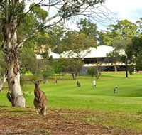 Pambula Merimbula Golf Club - Melbourne Tourism