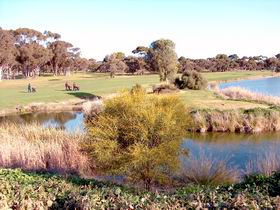 Maitland Golf Club Incorporated - Melbourne Tourism 1