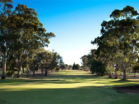 Loxton Golf Club - Melbourne Tourism 0
