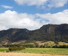 Cobark NSW Melbourne Tourism