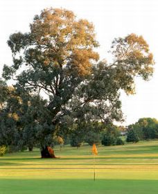 Cowra NSW Melbourne Tourism