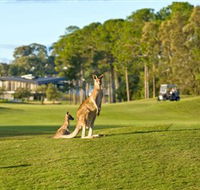 Sanctuary Cove Golf and Country Club - Melbourne Tourism