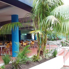 Club Forster - Melbourne Tourism 0