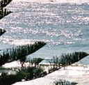 Bondi Social - Melbourne Tourism