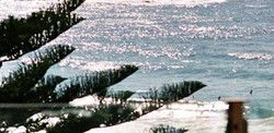 Bondi Social - Melbourne Tourism 0