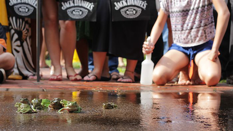 Noonamah Tavern - Melbourne Tourism 3