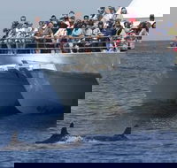 MoonshadowTQC Cruises - Melbourne Tourism