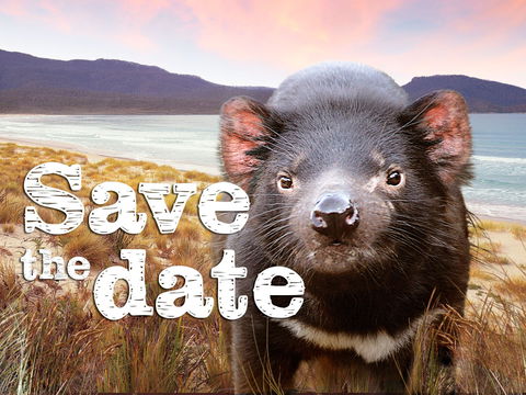 Art Group Longford - Melbourne Tourism 0