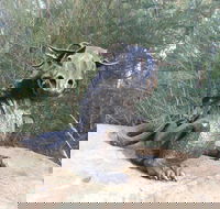 Bathurst Arts Trail - Melbourne Tourism