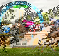 Bathurst Cup - Melbourne Tourism
