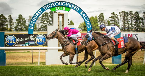 Bathurst Cup - Melbourne Tourism 0