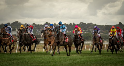 Bathurst Cup - Melbourne Tourism 1