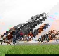 Christmas Cup Race Day - Melbourne Tourism